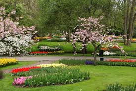 image of a landscaper carrying out lawn & garden care