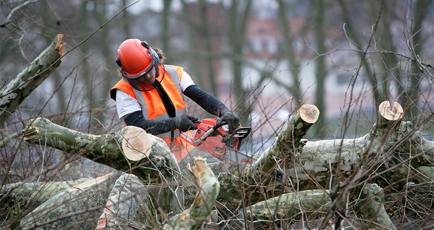 Image of a landscaper planting
